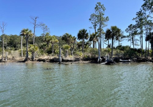 Ensuring Safety and Fun at Festivals in Lowcountry South Carolina