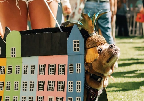 Are Pets Allowed at Festivals in Lowcountry South Carolina?